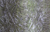 Langdown fibreglass roof work